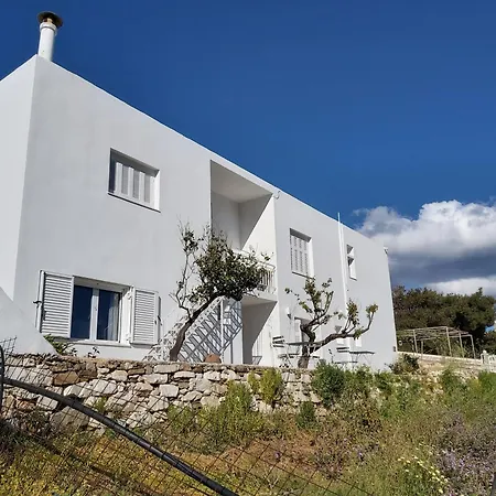 Dandelion Paros Iii-iv * Kostos