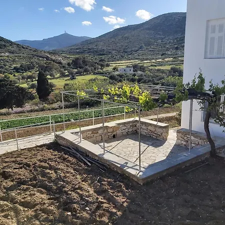 Dandelion Paros Iii-iv