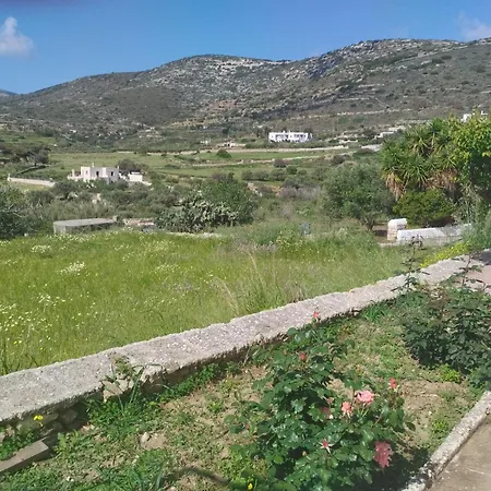 Dandelion Paros Iii-iv Apartment Kostos
