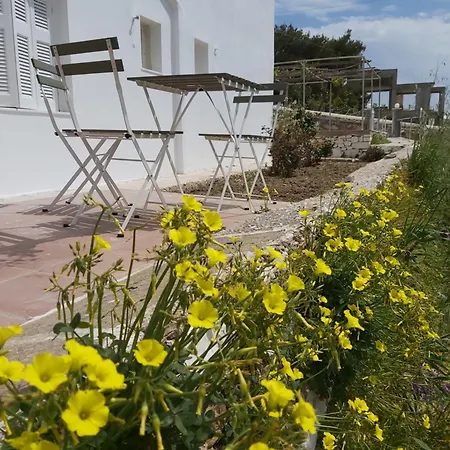 Dandelion Paros Iii-iv * Kostos