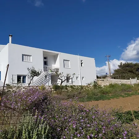 Dandelion Paros Iii Apartamento