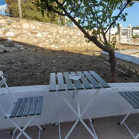 Dandelion Paros Iii *