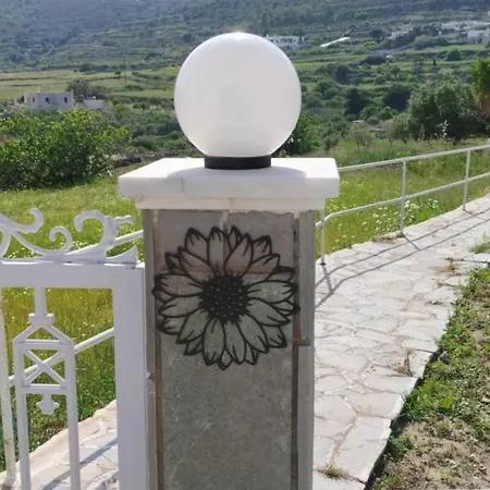 Dandelion Paros Iii-iv *