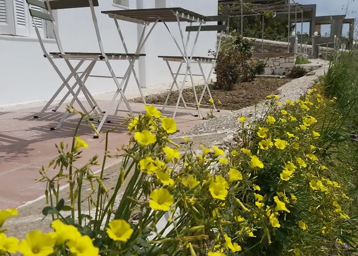 Dandelion Paros Iii * Kostos