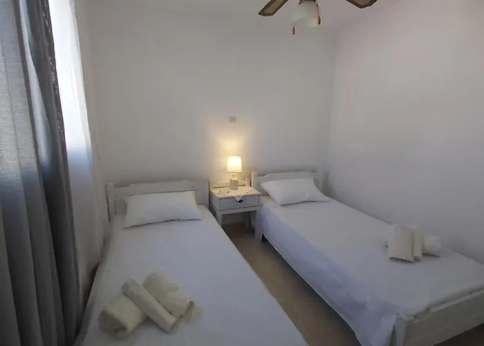 Dandelion Paros Iii * Kostos