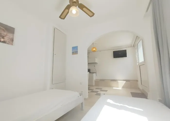 Apartamento Dandelion Paros Iii Kostos