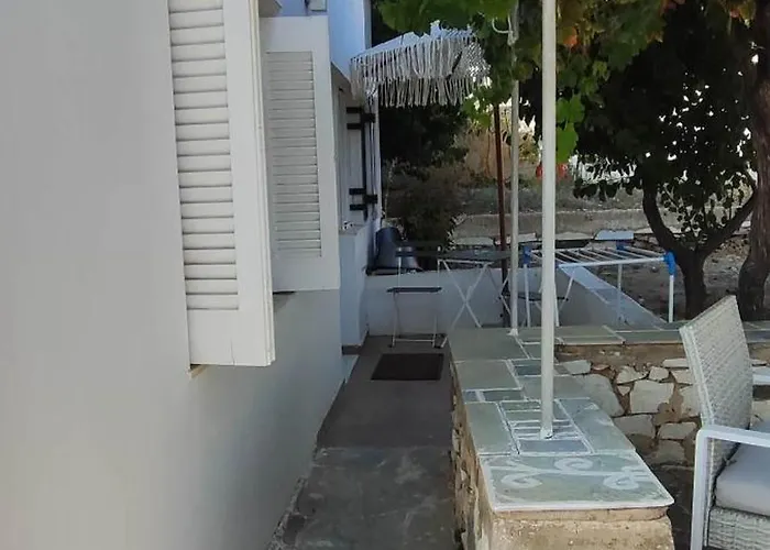 Dandelion Paros Iii *