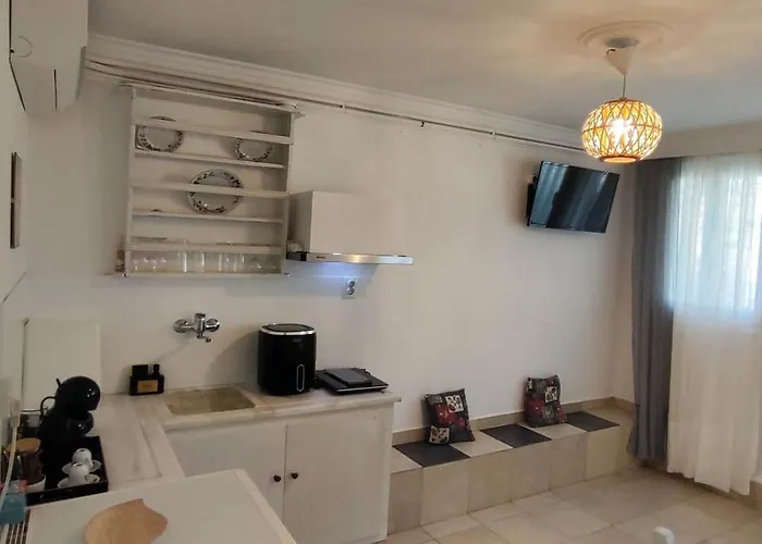 شقة Dandelion Paros Iii Kostos