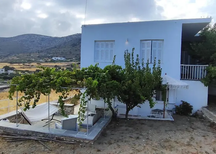 Dandelion Paros Iii *